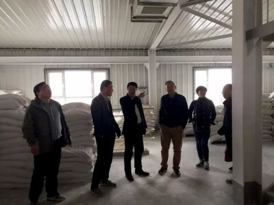 建材總院崔琪院長等專家參觀和一生產研發基地